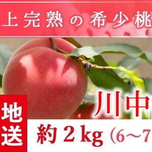 福島県産の桃　朝採りもぎたて完熟川中島　阿部農縁 もも モモ　ギフト・贈答用に
