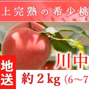 福島県産の桃　朝採りもぎたて完熟川中島　阿部農縁 もも モモ　ギフト・贈答用に