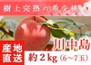 福島県産の桃　朝採りもぎたて完熟川中島　阿部農縁 もも モモ　ギフト・贈答用に