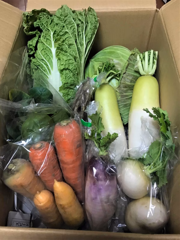 【お歳暮/贈り物】カラフル野菜セット＝7品目以上～農薬/化学肥料・不使用