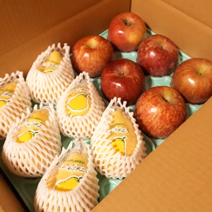 冬の味覚セット 【自家用】サンフジ2㎏ & ルレクチエ2㎏