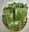 【母の日ギフト】新鮮野菜の多品目詰合せセット