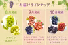 ぶどうを味わう3カ月『ぶどうの最旬リレー定期便』