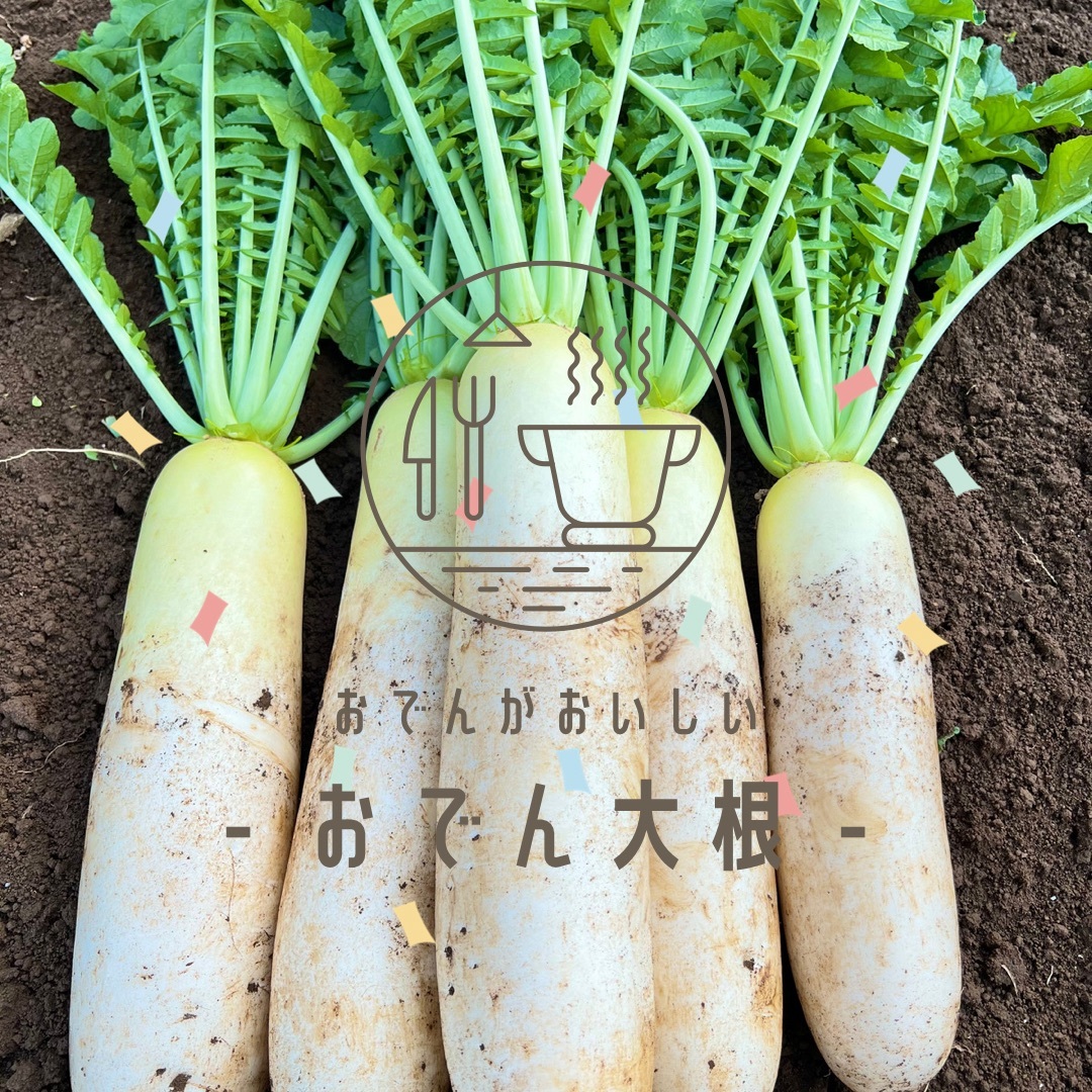 おでんがおいしい おでん大根 野菜の商品詳細 ポケットマルシェ 産直 産地直送 通販 旬の果物 野菜 魚介をお取り寄せ