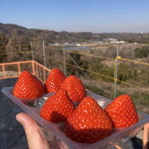 ‼️桃の天使がフワフワと‼️桃の中の桃天使❤️ ❤️「桃天使イチゴ光姫」❤️