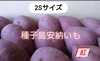 種子島安納いも　特Ａ品　２Ｓサイズ