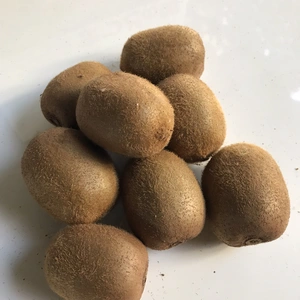松戸市産ゴールドキウイフルーツ　酸味の少ない甘いキウイ3キロ