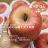 【ふじ/大玉】1玉なんと500g以上！食べ応え抜群ふじ/ネオニコフリー/特別栽培