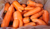 有機にんじん 4.5kg・9ｋｇサラダ、ジュースにおすすめ！平均糖度10度超え！