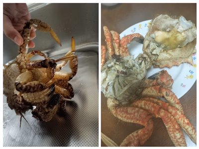 みんなの投稿の画像