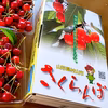 甘酸っぱい初夏の味♪さくらんぼ〈完熟紅さやか〉700g