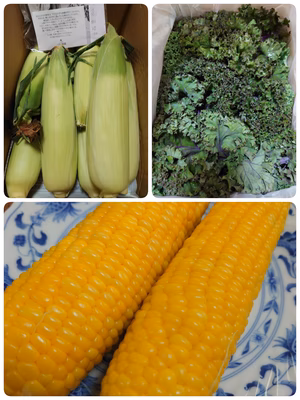 みんなの投稿の画像