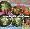 ⭐︎大人気⭐︎【産直で即完売！】2玉セット！！果汁量も多くジューシー