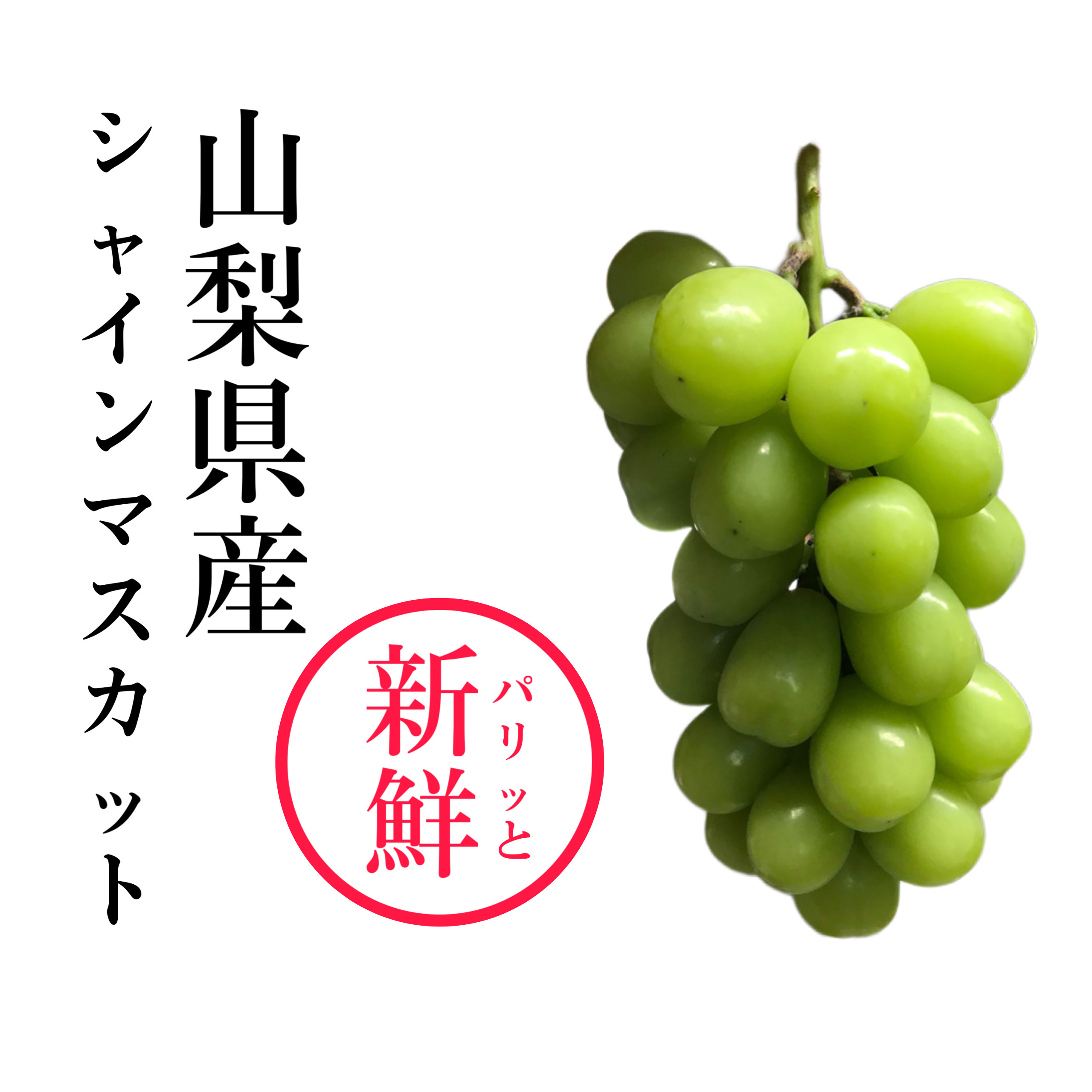 冷蔵便】シャインマスカット《小箱》1房550-700g｜ぶどうの商品詳細