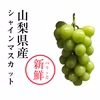 【規格外品】山梨県産シャインマスカット 3〜5房 約1.6-1.8kg