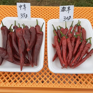 お試しセット‼️味くらべ乾燥唐辛子(2022年新物)Ｂセット！！