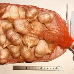 山形県赤倉温泉の伝承野菜  最上赤にんにく 1kg