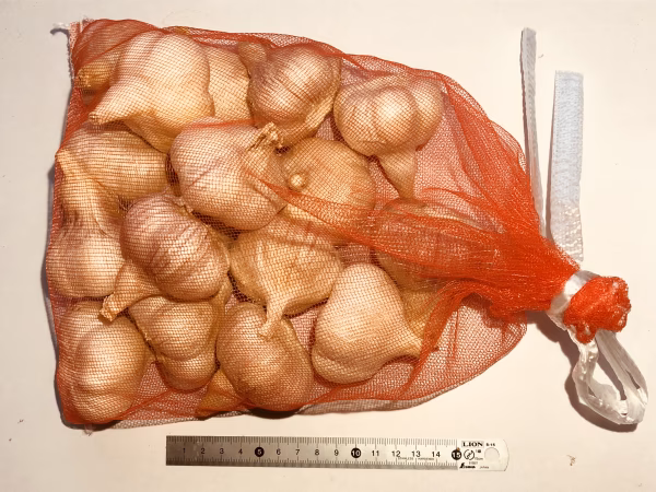 山形県赤倉温泉の伝承野菜  最上赤にんにく 1kg