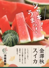 【砂丘地特産】金澤秋スイカ　８～９ｋｇ