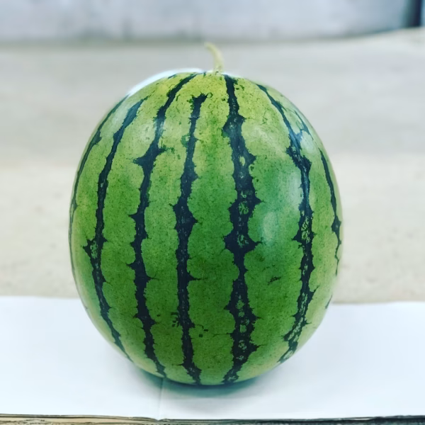 丸次農園