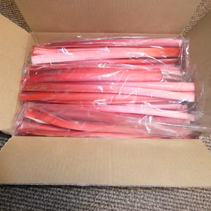 ピンクのルバーブ（軟化栽培）