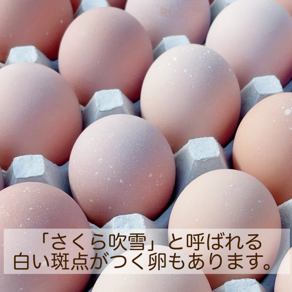 卵黄トロ～リ(^^)濃厚自慢‼　×115個・名古屋コーチンの箱売りたまご‼