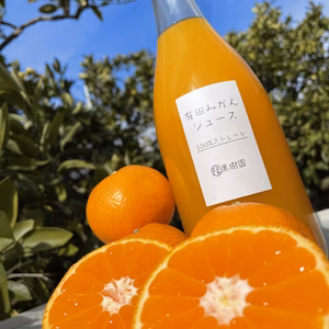 【数量限定】フレッシュ！有田みかん１００％無添加ジュース720ml　2本セット