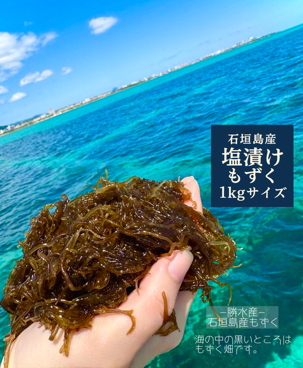 石垣島産　塩漬けもずく　20kg 沖縄県石垣島産もずく【塩漬け1kg】大サイズ｜水産加工品の商品詳細