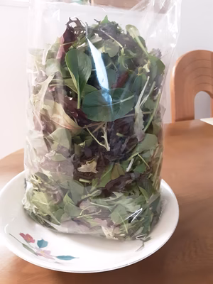 みんなの投稿の画像