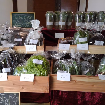 みんなの投稿の画像