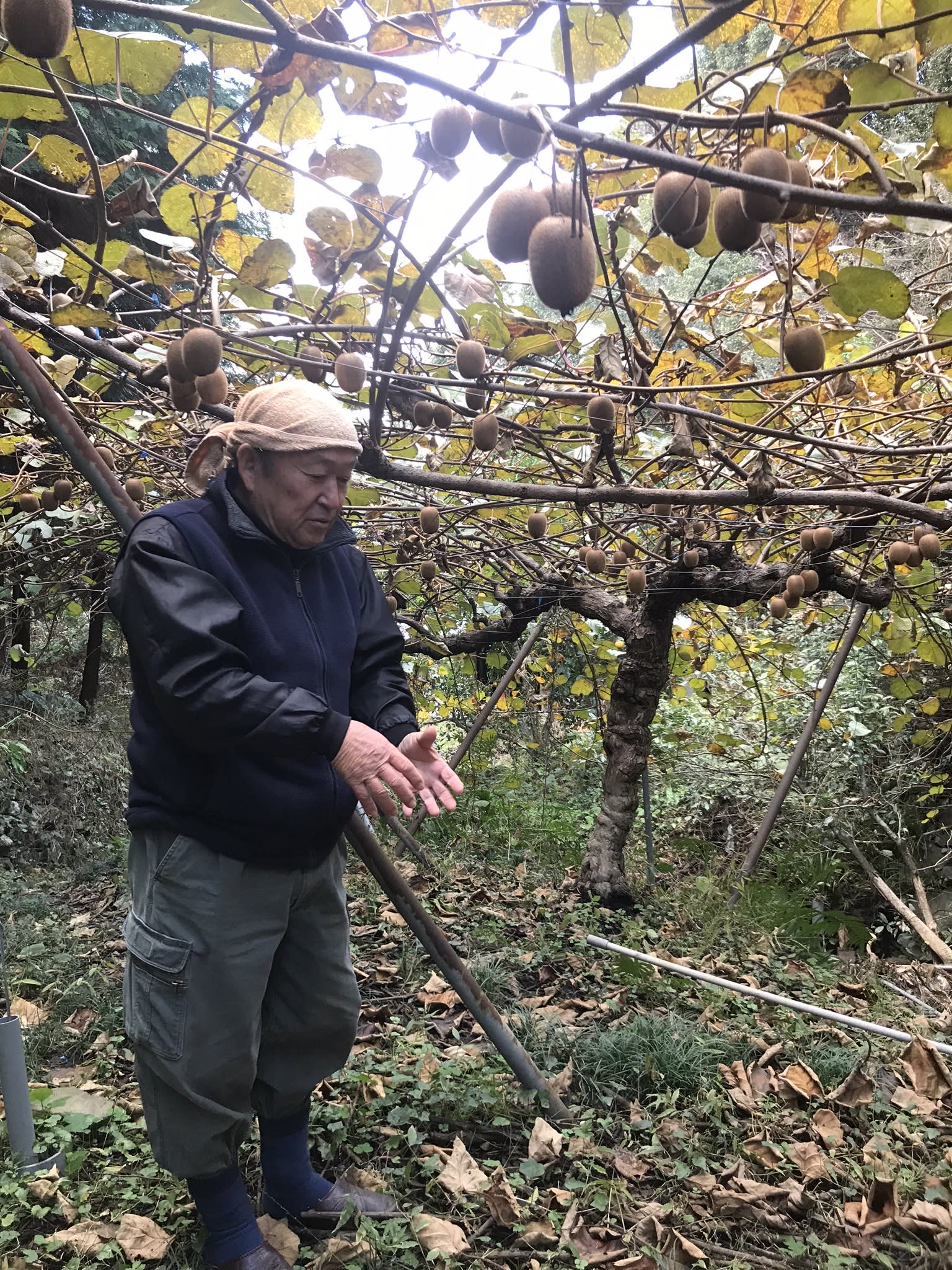 愛媛県宇和島市｜岡久園｜岡田 修さんの生産者プロフィール｜ポケットマルシェ｜産地直送で旬の食材が生産者(農家・漁師)から届く