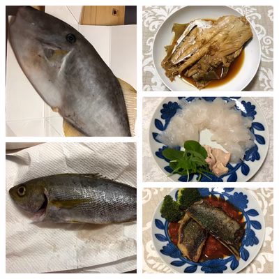 みんなの投稿の画像