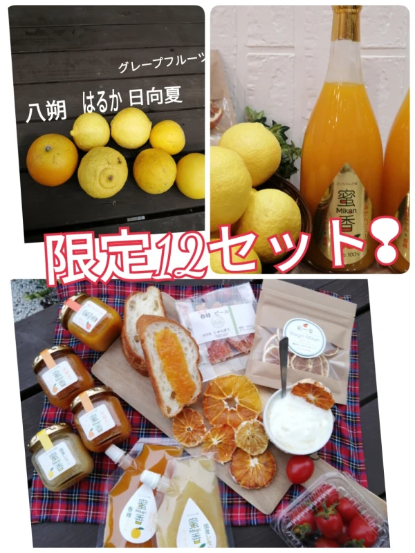 【限定12】父の日プレゼント❣木成り4種柑橘＆大ちゃんの畑のスペシャルセット