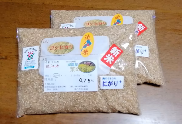 令和2年産☆近江米コシヒカリ☆減農薬菜の花米☆1.5kg☆玄米
