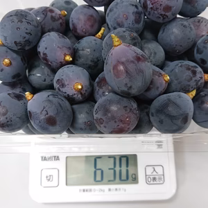山梨県産 種なし巨峰 家庭用粒パック(600g×2パック)