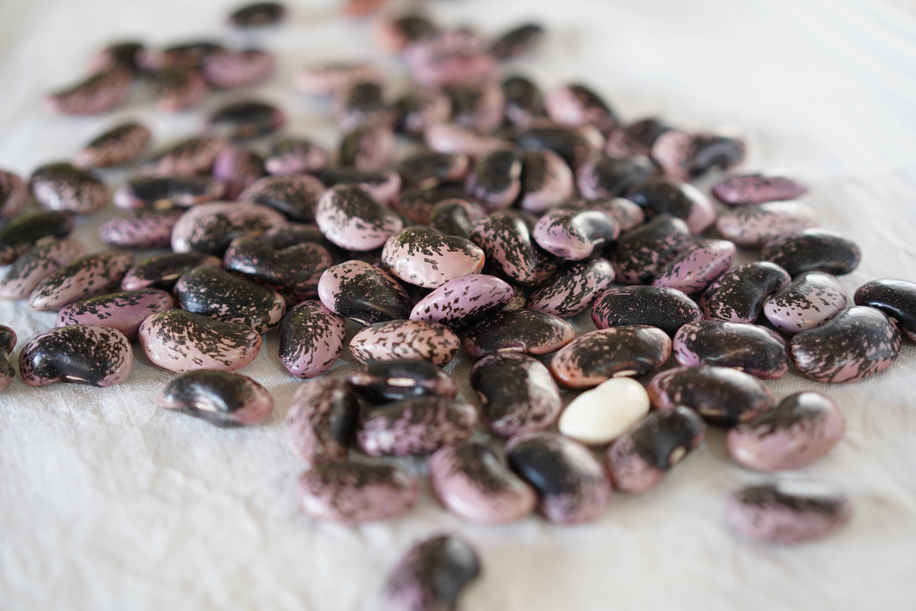 新豆 令和3年産 花豆 群馬 六合の100年続く高原農家の伝統花豆 米 穀類の商品詳細 ポケットマルシェ 産直 産地直送 通販 旬の果物 野菜 魚介をお取り寄せ