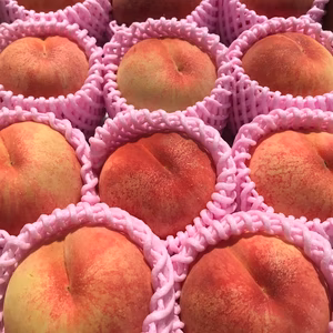 【秀品】会津の桃　あかつき　約2.5キロ（8〜12個）