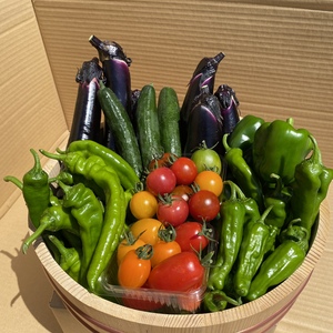 夏野菜セット!5品〜!80サイズ!