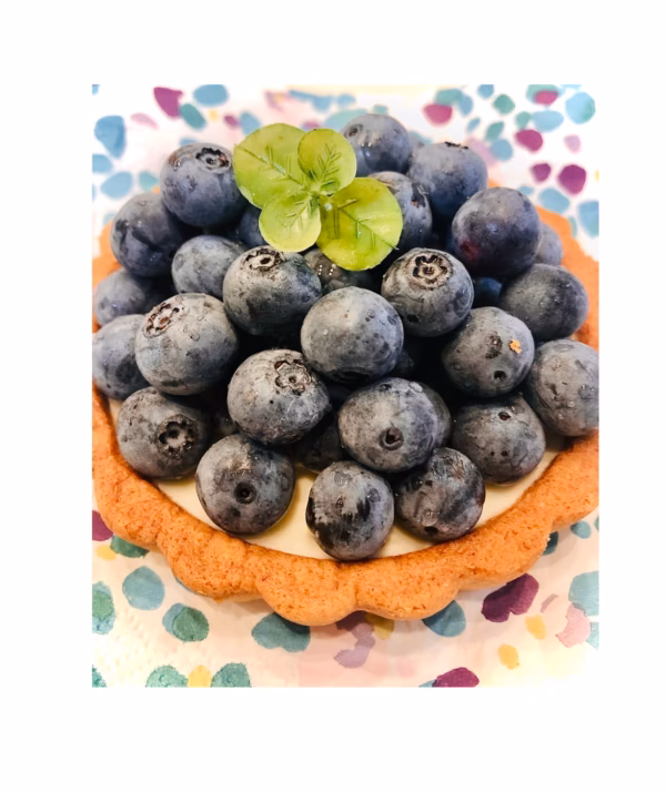 2025  栽培期間中農薬不使用　化学肥料不使用　旬の完熟生ブルーベリー