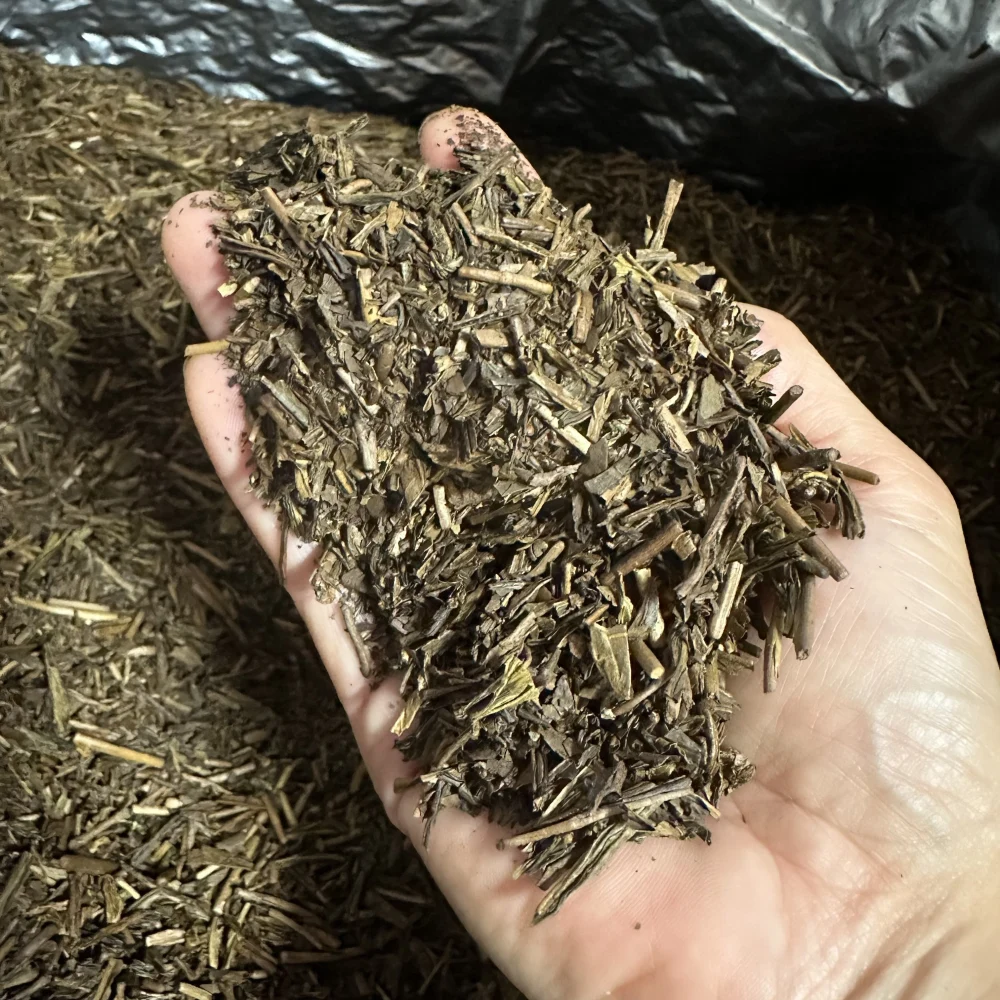 【農家直送】香りが良い！ほうじ茶