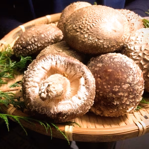 【旬をお届け！】みのりの秋子さん〜プレミアム品〜