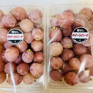 クイーンニーナ　南アルプス市産　ご家庭用粒売りパック詰め1kg〜