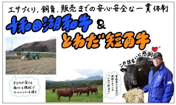 【十和田湖和牛】ステーキセット