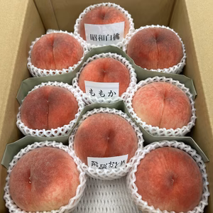 飛騨桃３㎏（３品種入り）