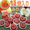 完熟★全玉蜜入りふじりんご(厳選品)＆りんごの恵み(5kg箱)