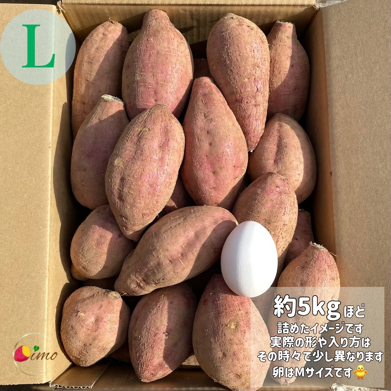 絶品】種子島産 安納芋 Lサイズ｜aimo農園｜さつまいもの商品詳細