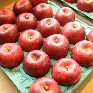 【岩手オリジナル！】紅いわて 約3kg(8～12個)　約5kg(14～20個)