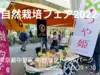 自然栽培 氷温熟成 でわのもち 令和４年産 山形県産 庄内米 玄米２５k