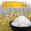【送料無料】令和7年産 新米 山形県産 はえぬき精米 5kg～