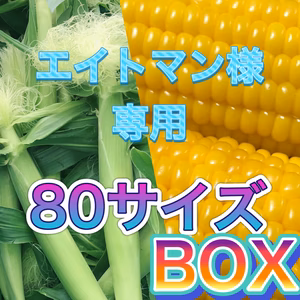 エイトマン様　専用　80サイズBOX